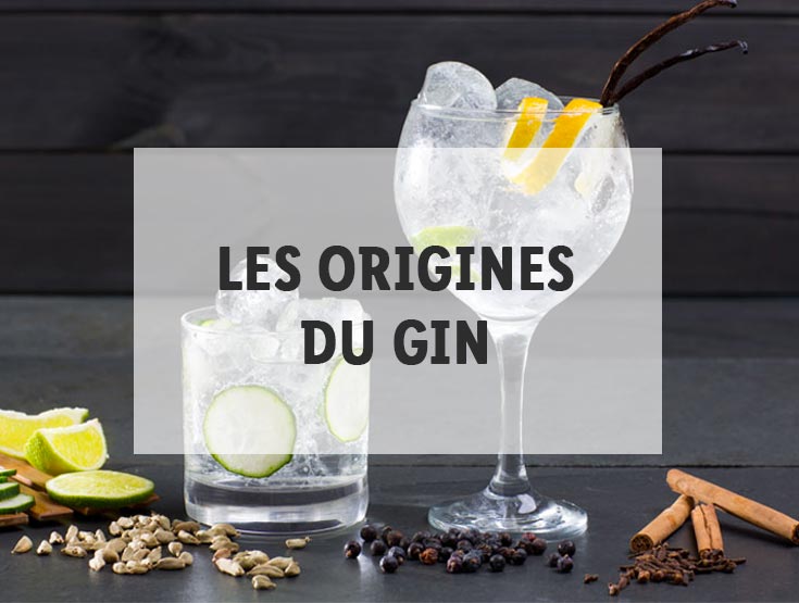 Le gin et ses origines