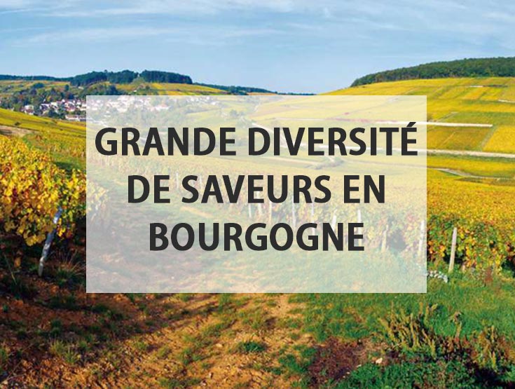 Une grande diversité en Bourgogne