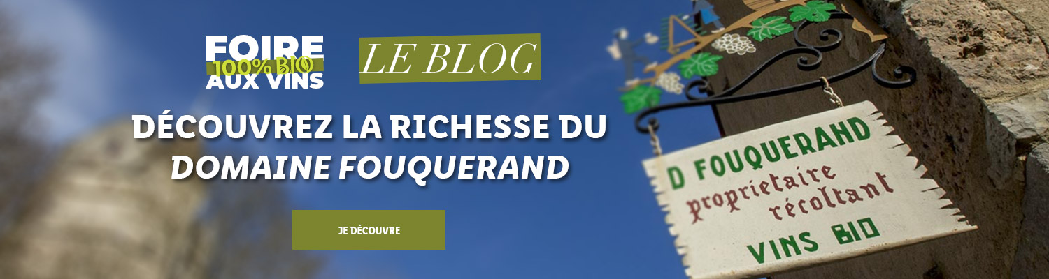 Focus : Domaine Fouquerand & Fils