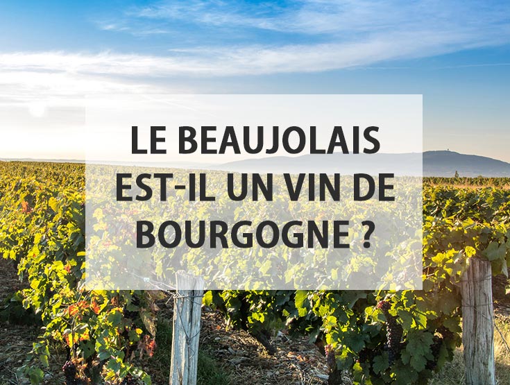 Le Beaujolais, un goût de paradis
