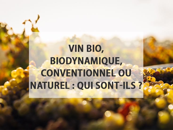 Le vin biologique, biodynamique, conventionnel ou naturel : savez-vous vraiment qui sont-ils ?