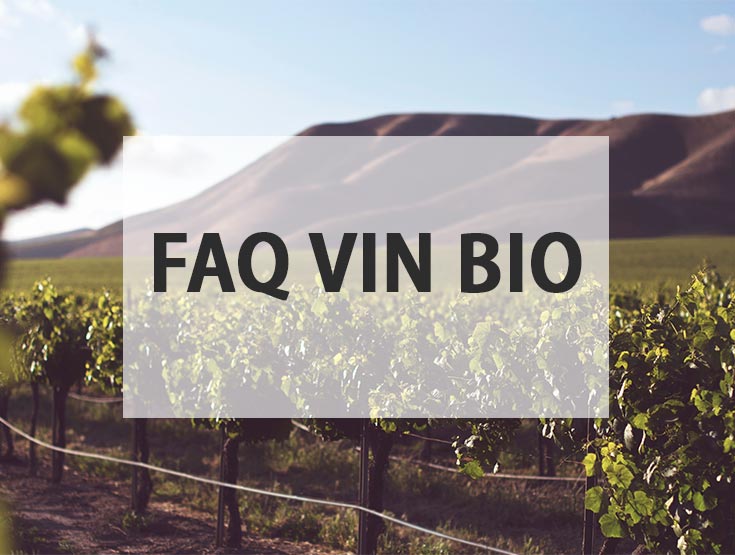 FAQ vin bio