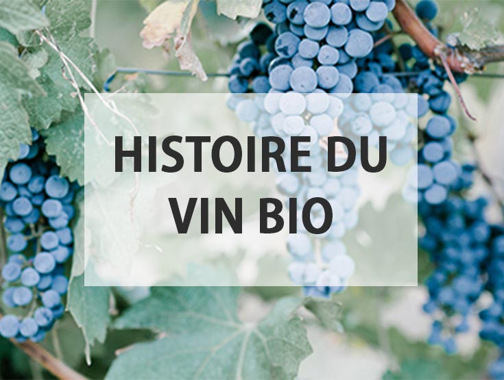Histoire du vin bio