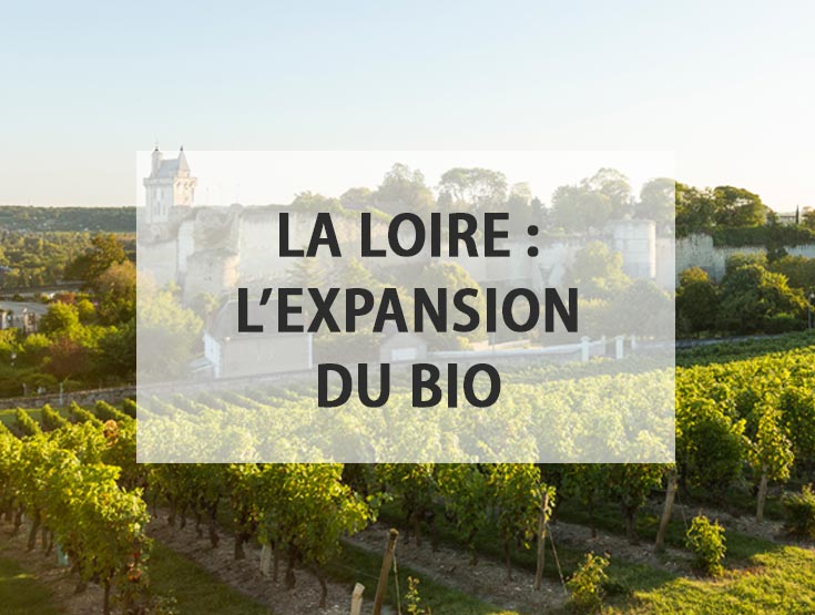 La Loire : l'expansion du bio