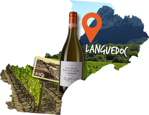 Languedoc région