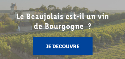 région beaujolais bourgogne