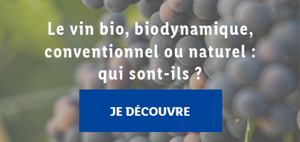 le vin bio, biodynamique, conventionnel ou naturel : qui sont-ils  ?